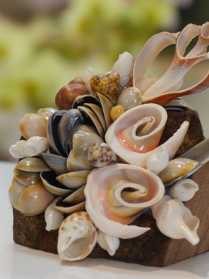 Chặn Giấy Gỗ Xá Xị CG07