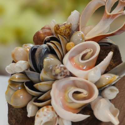 Sassafras wood paperweight CG07