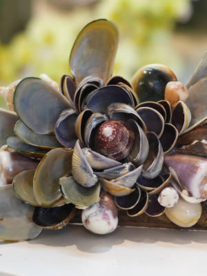 Chặn Giấy Gỗ Xá Xị CG08