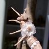 Bamboo root ant magnets