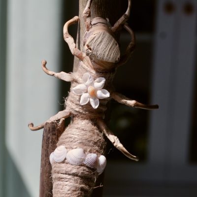 Bamboo root ant magnets