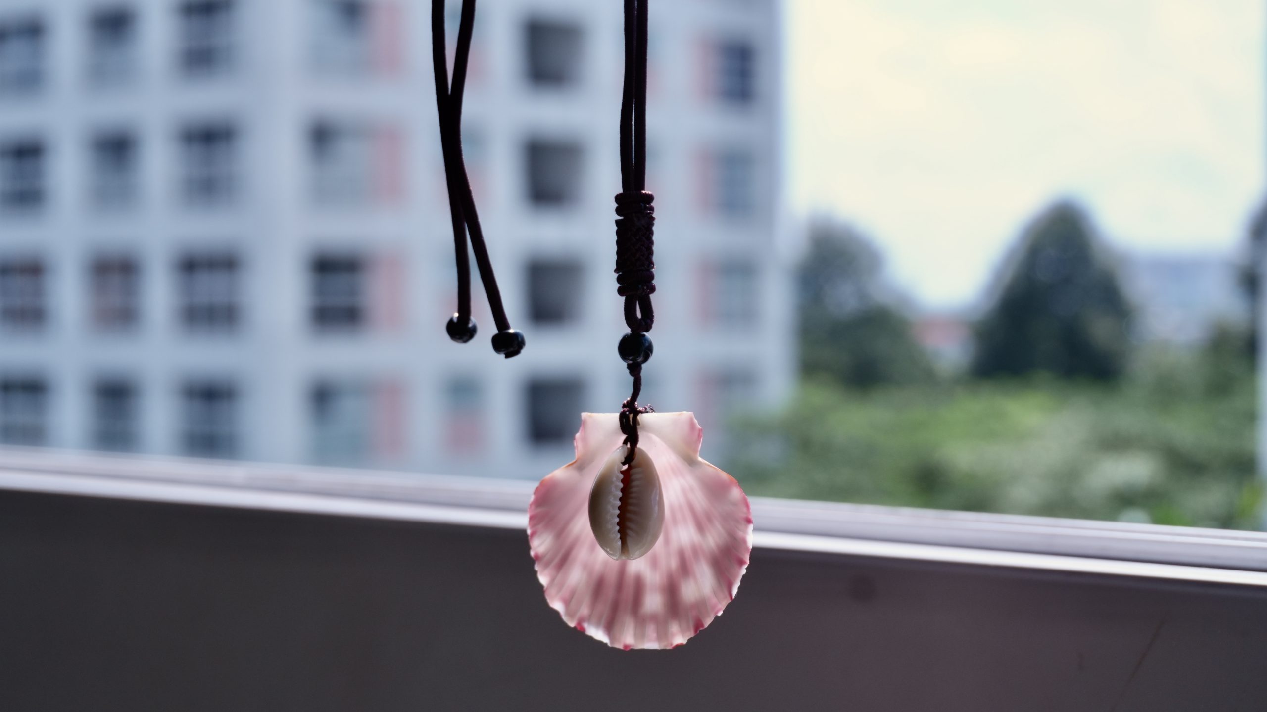 DSC01416 DSC01416 scaled