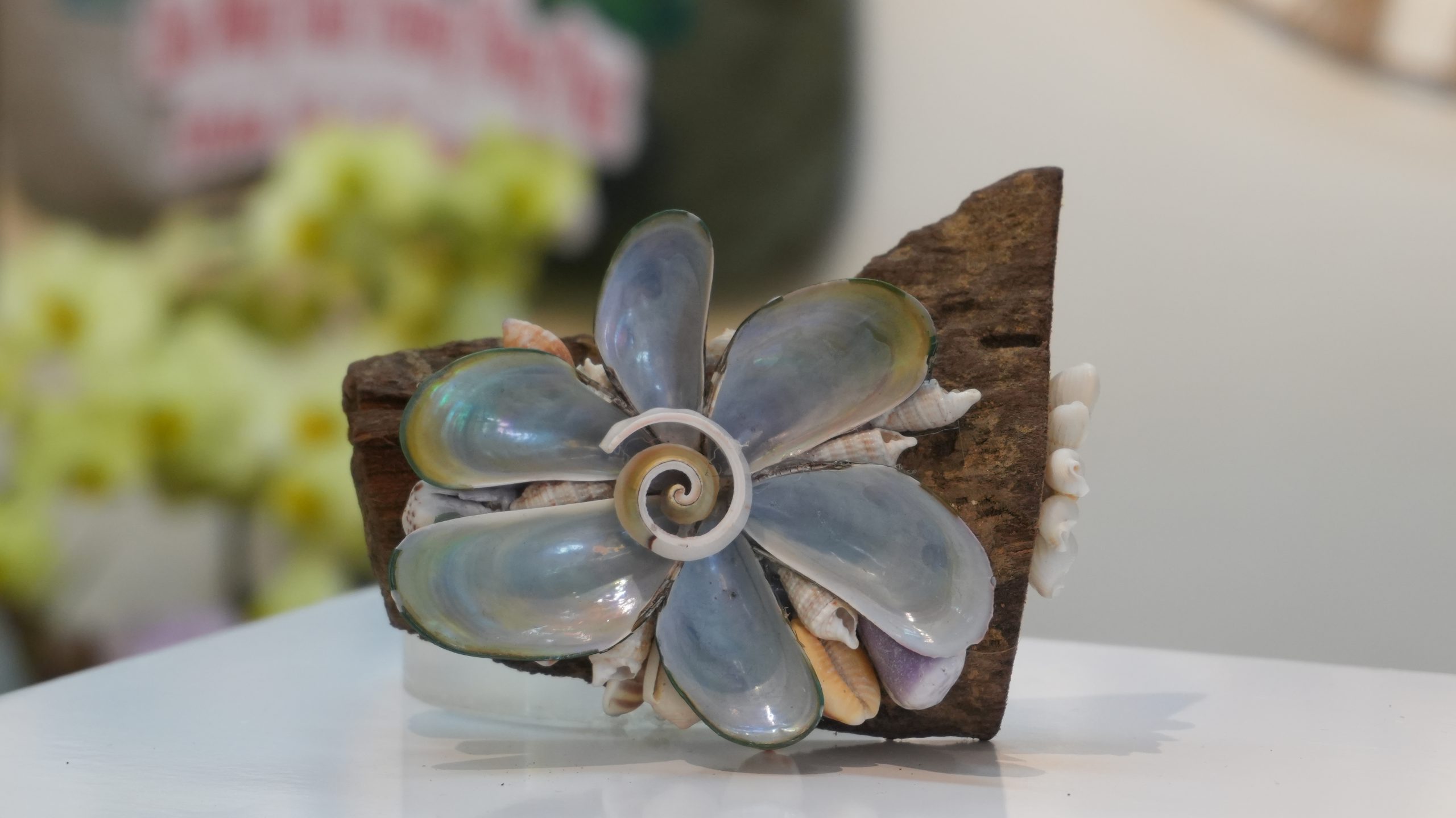 Sassafras wood paperweight CG06